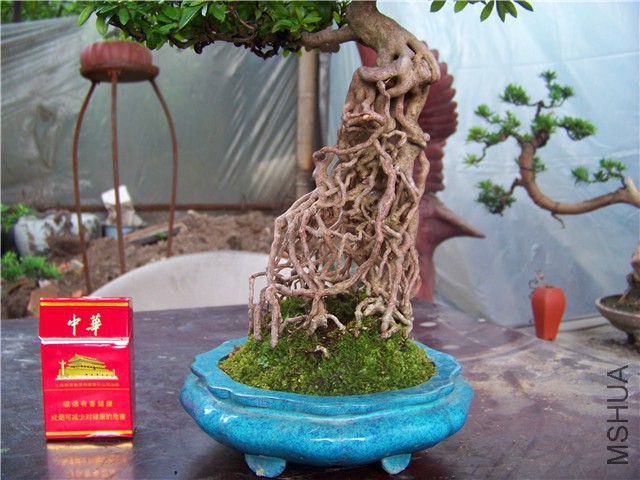 100_4604.JPG