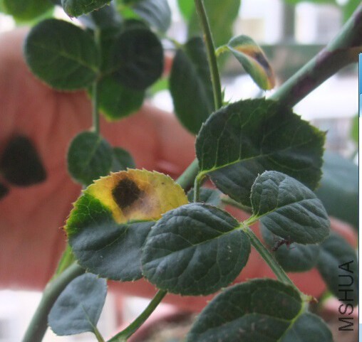 QQ��ͼ20140814103602.jpg