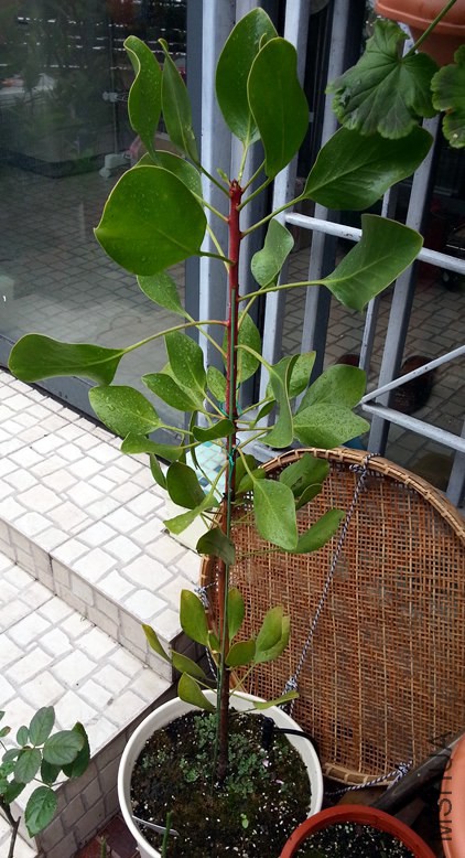 ������20140814.jpg