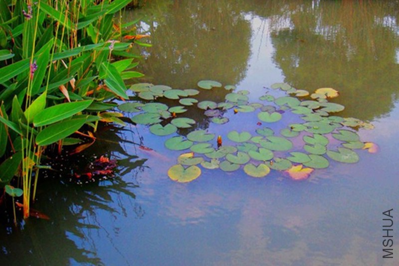 psb (71)_����.jpg