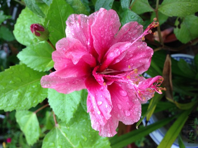 ��Ƭ2014 3167.jpg