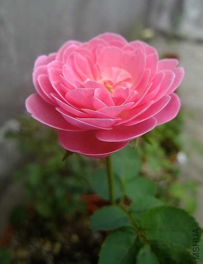 ��֮�⻷ (1).jpg