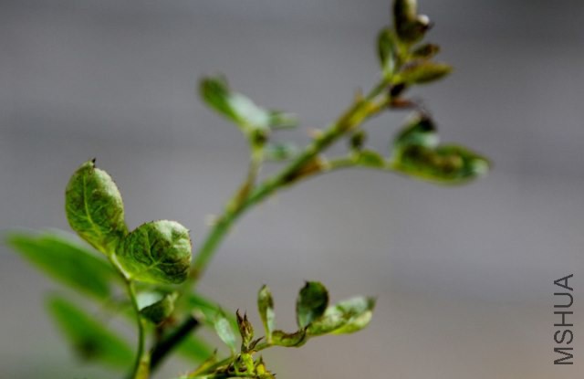 IMG_7734 (640x415).jpg