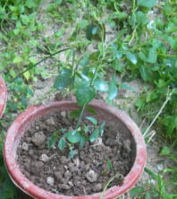 QQ��ͼ20140816172515.JPG