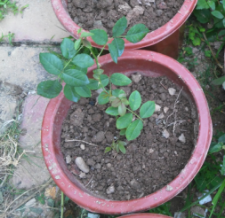 QQ��ͼ20140816172521.JPG