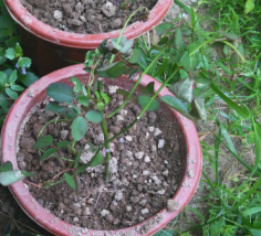 QQ��ͼ20140816172537.JPG