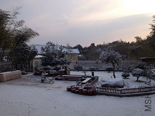 IMG_2860.JPG