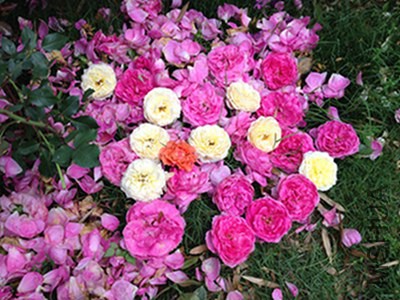 IMG_4823.JPG