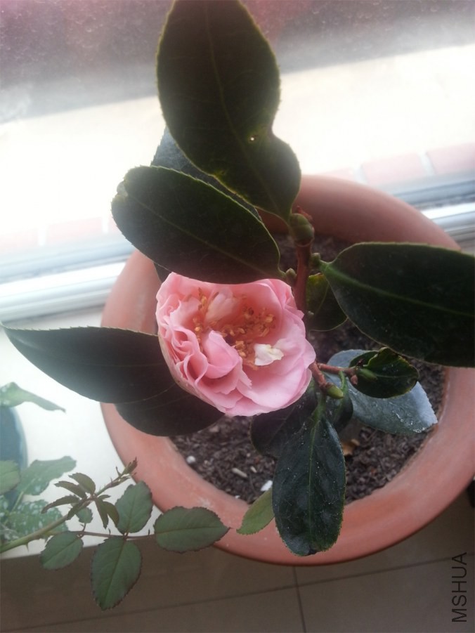 20140817_152109.jpg