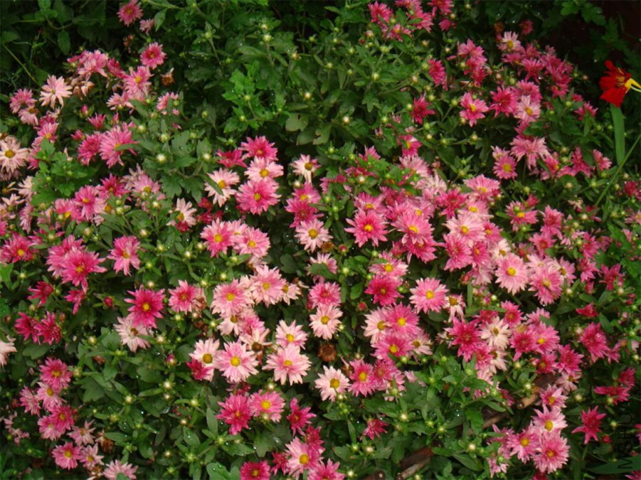 DSC07189_��ͼ��.jpg