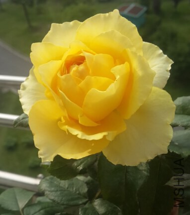 QQ��ͼ20140818160705.jpg
