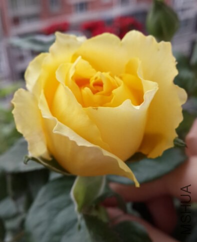 QQ��ͼ20140818160715.jpg