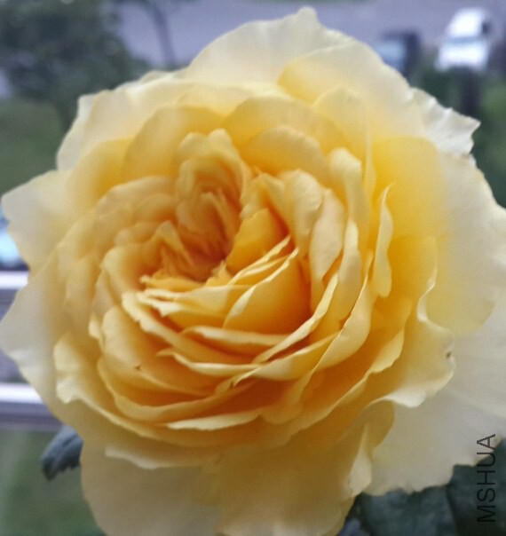 QQ��ͼ20140818160643_conew2.jpg