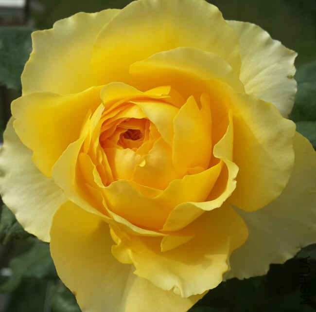 QQ��ͼ20140818160656_conew1.jpg