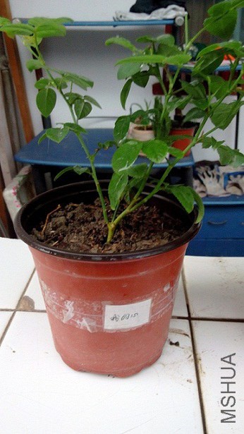 20140818061011.jpg