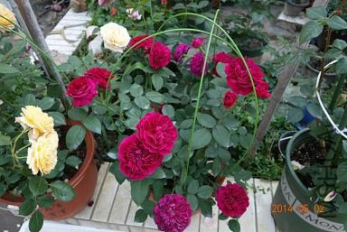QQͼƬ20140819075737.jpg