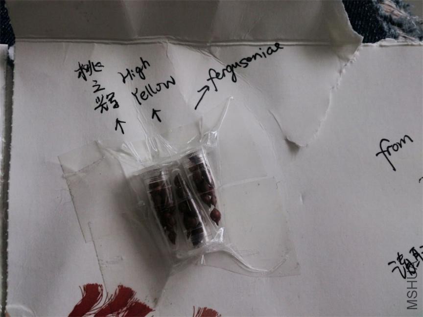 QQͼƬ20140819125625.jpg