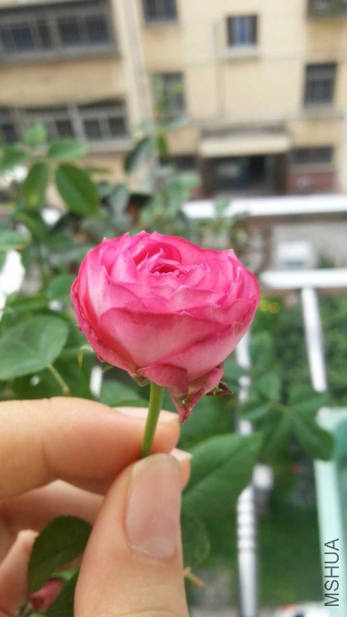 20140719_084149 (2).jpg