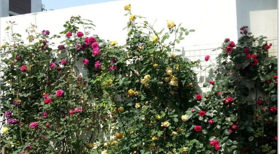 QQͼƬ20140820121959.jpg