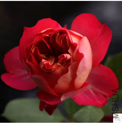 �ٱ���������.png