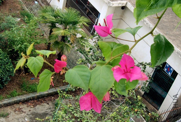 IMAG0587_����.jpg