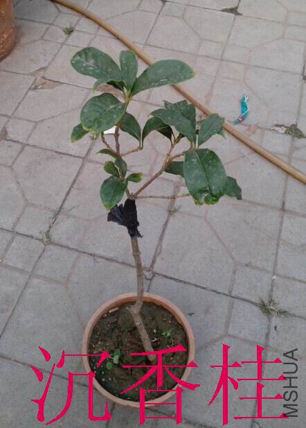 QQͼƬ20140820201138.jpg