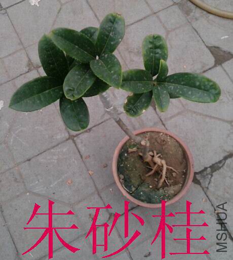 QQͼƬ20140820201144.jpg