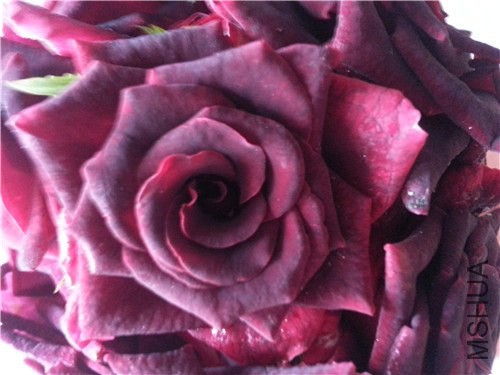 20140821_070645.jpg