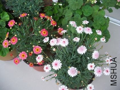 121434vbbkwf8mnfcb8787.jpg