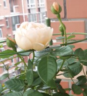QQ��ͼ20140822135808.jpg