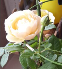 QQ��ͼ20140822135846.jpg