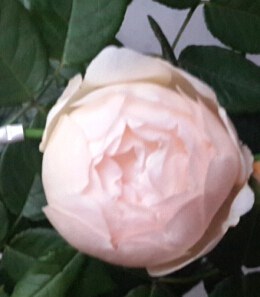 QQ��ͼ20140822140017.jpg