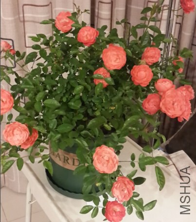 QQ��ͼ20140822142224_conew1.jpg
