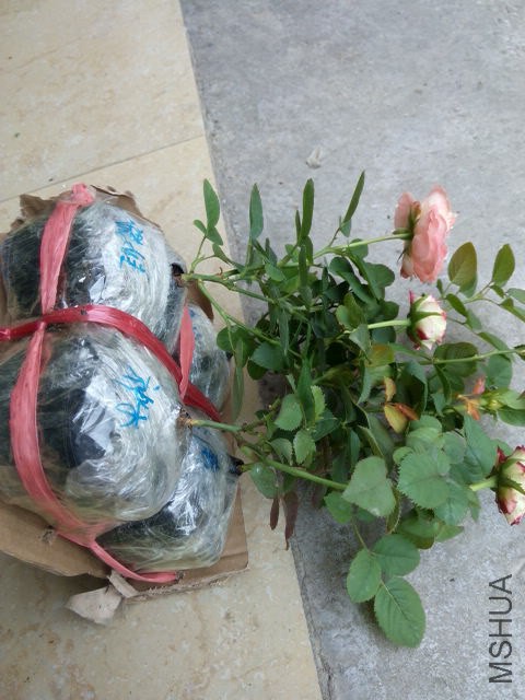 20140821122350.jpg