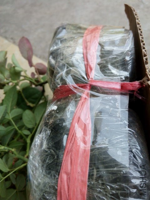20140821122423.jpg