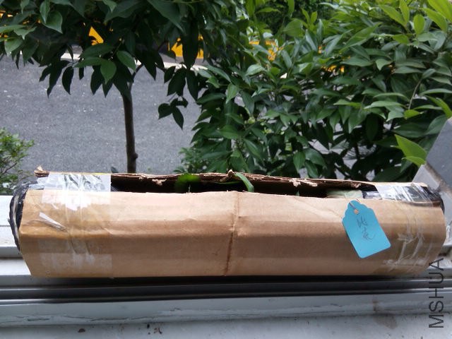 20140822121812.jpg