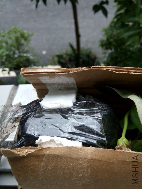 20140822121936.jpg
