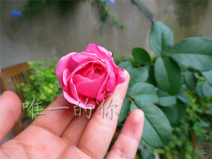 ��Ƭ 009.jpg