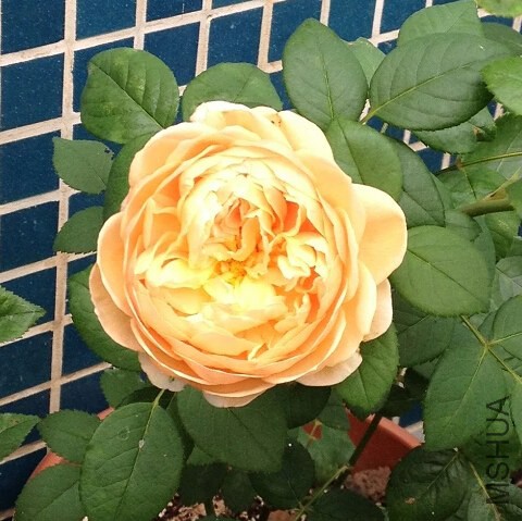 QQ��ͼ20140823230357.jpg