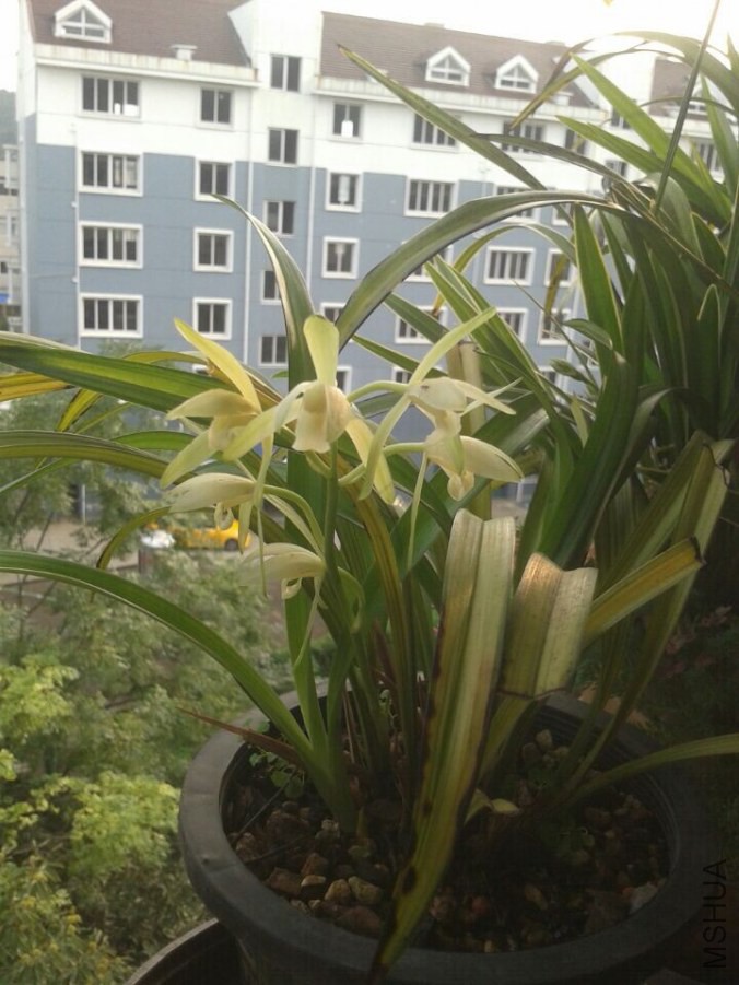 QQͼƬ20140824154401.jpg