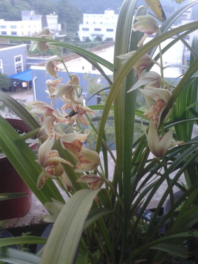 QQͼƬ20140824154421.jpg