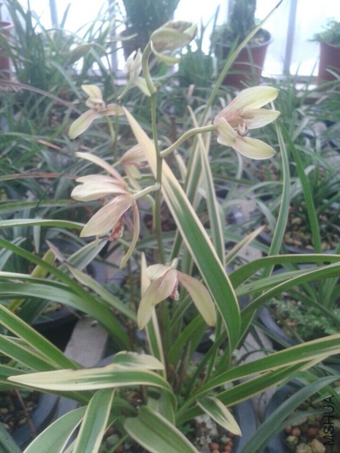 QQͼƬ20140824160151.jpg