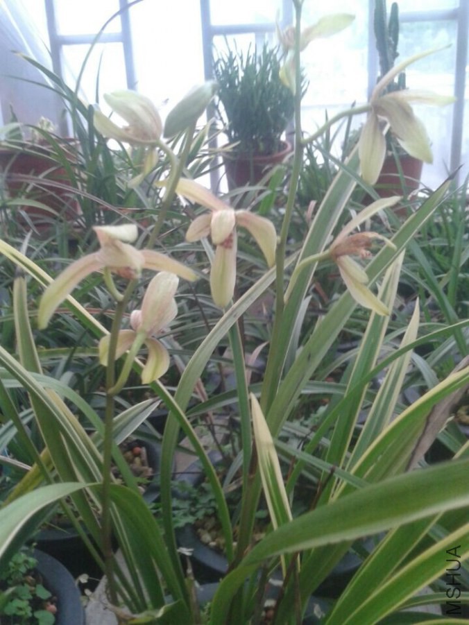 QQͼƬ20140824160201.jpg
