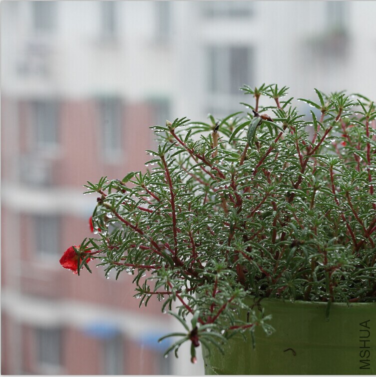 QQͼƬ20140822162039.jpg
