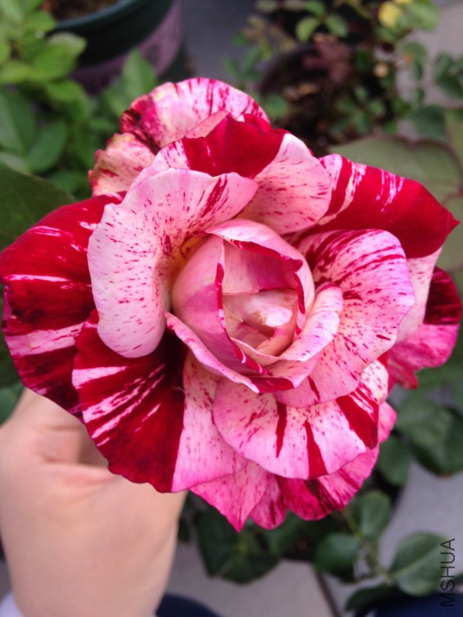 2014.5.16-2.JPG