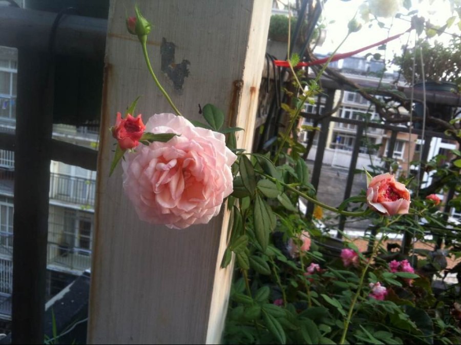 QQͼƬ20140825093141.jpg