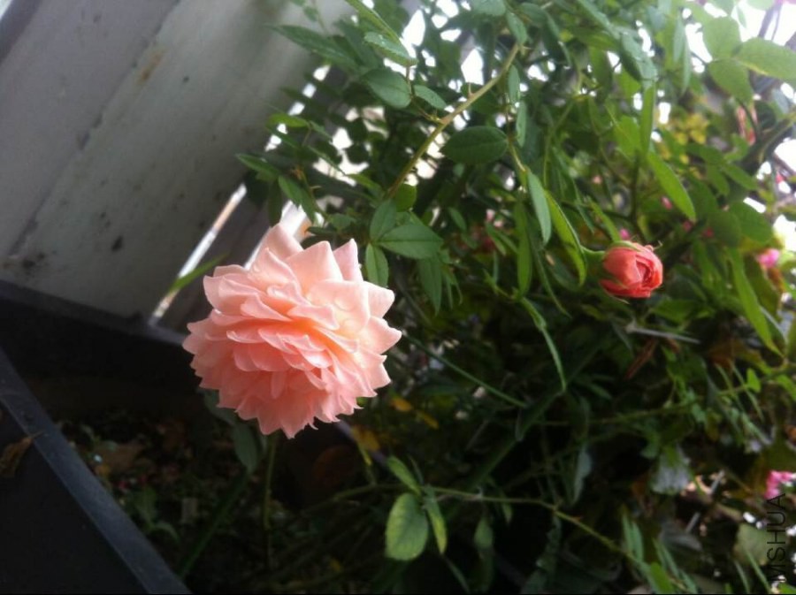 QQͼƬ20140825093135.jpg