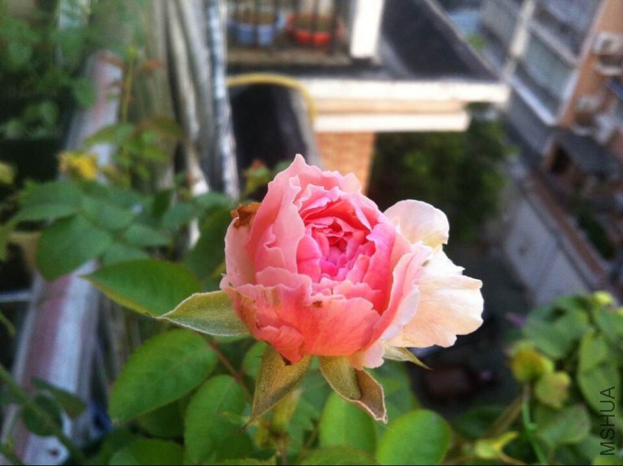 QQͼƬ20140825093147.jpg