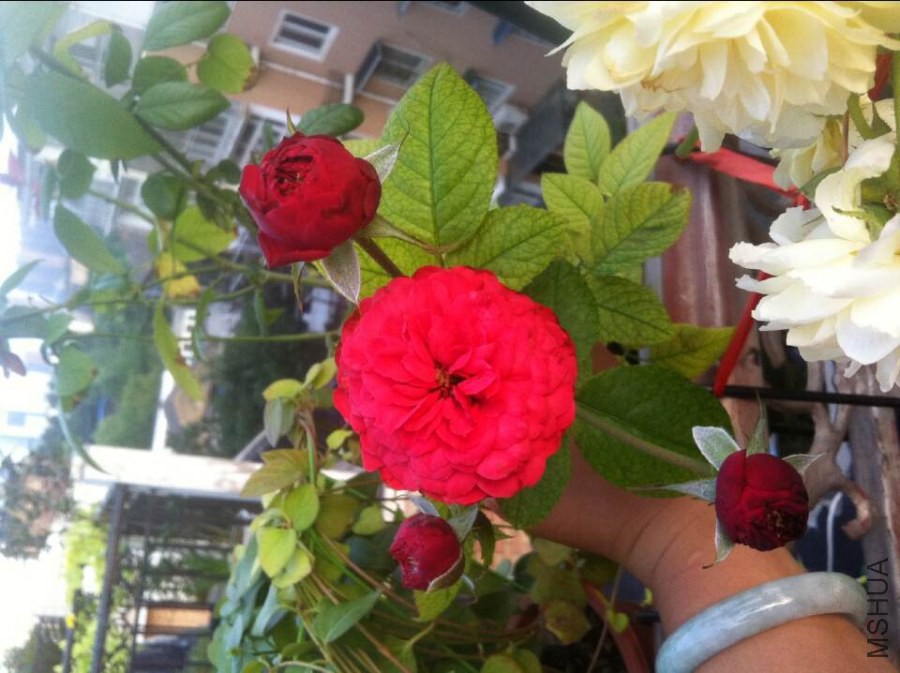 QQͼƬ20140825093158.jpg