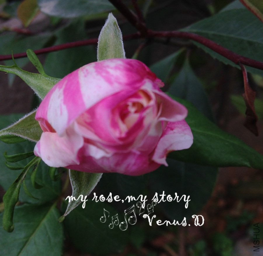 2014.4.13.JPG
